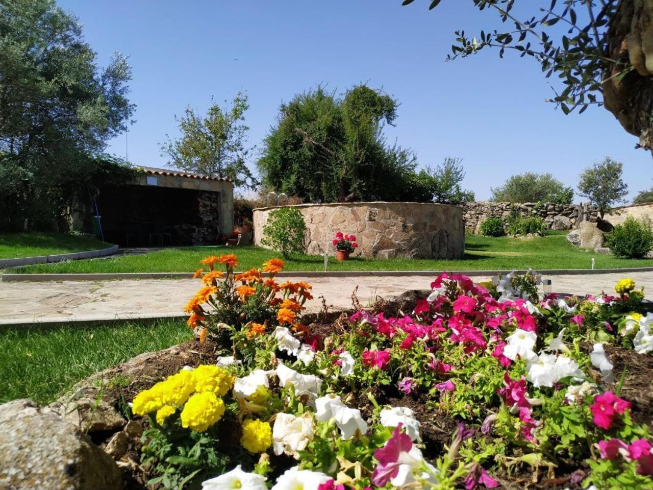 El Lagar Del Abuelo En Los Arribes Del Duero, Badilla, Zamora Buitenkant foto