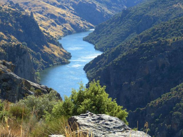 El Lagar Del Abuelo En Los Arribes Del Duero, Badilla, Zamora Buitenkant foto
